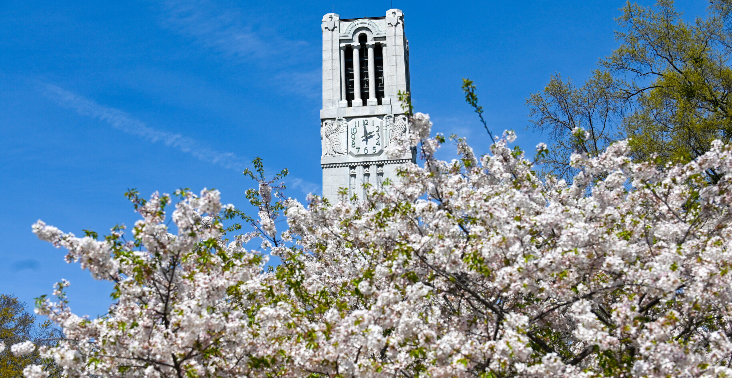 Spring blooms surround the Memorial Belltower.